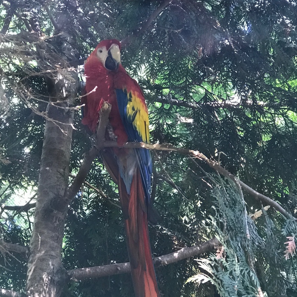 Meet your Posher, Marie